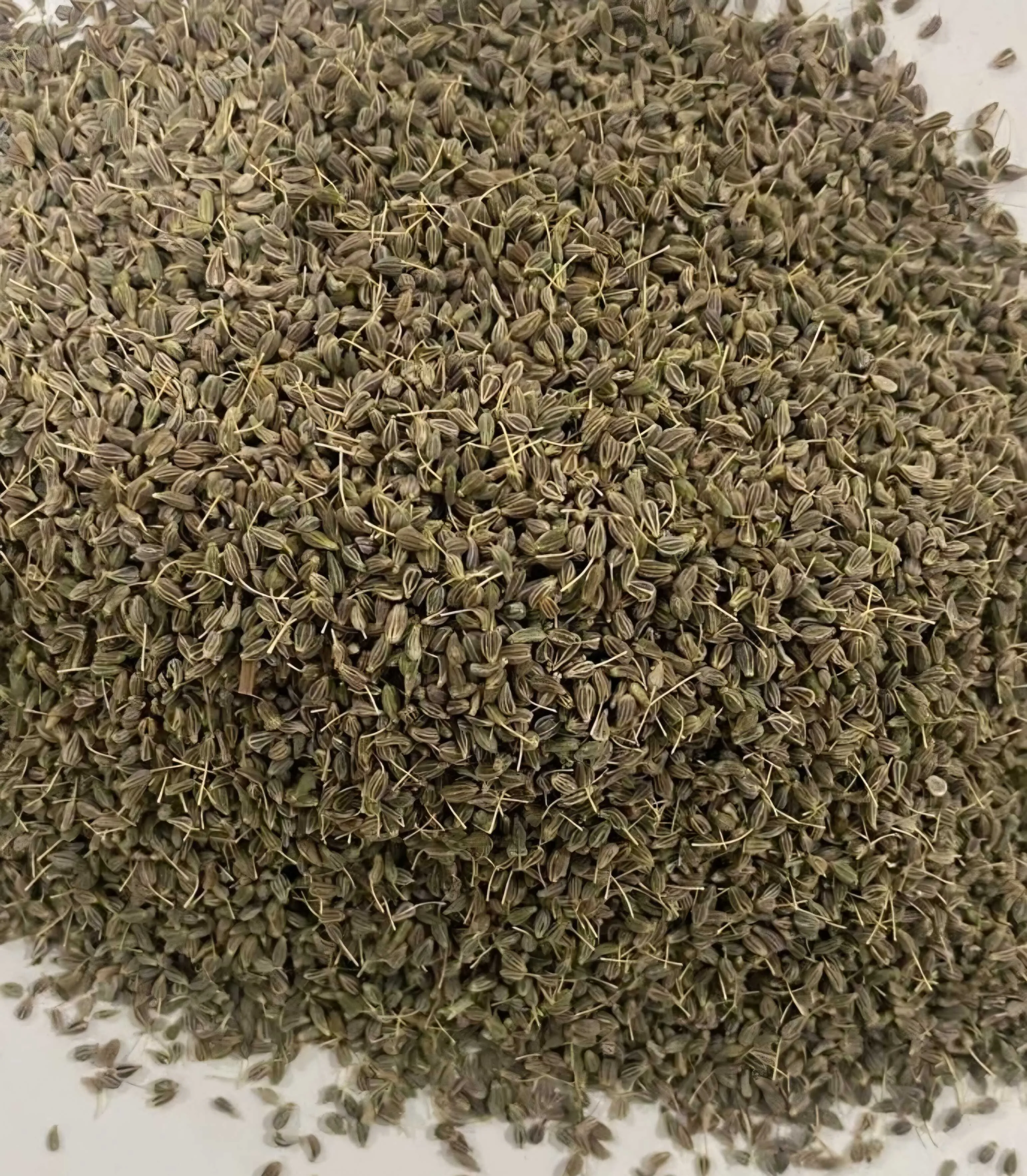 Egyptian Anise Seeds