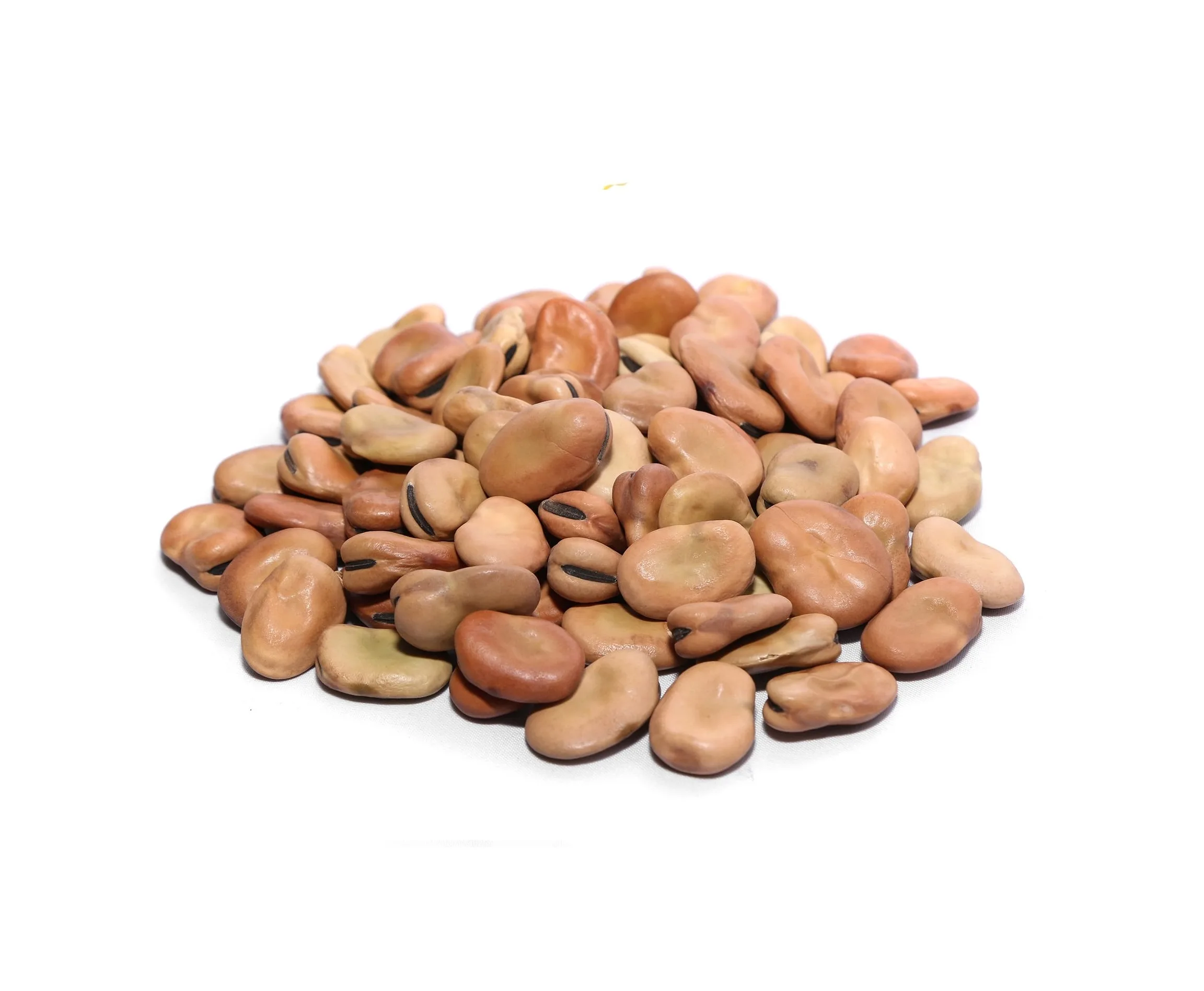 Egyptian Broad Beans (Fava)