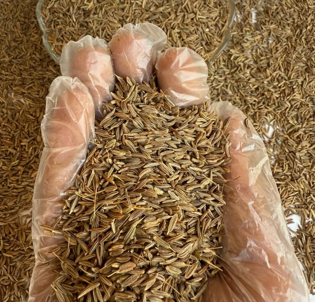Egyptian Caraway Seeds