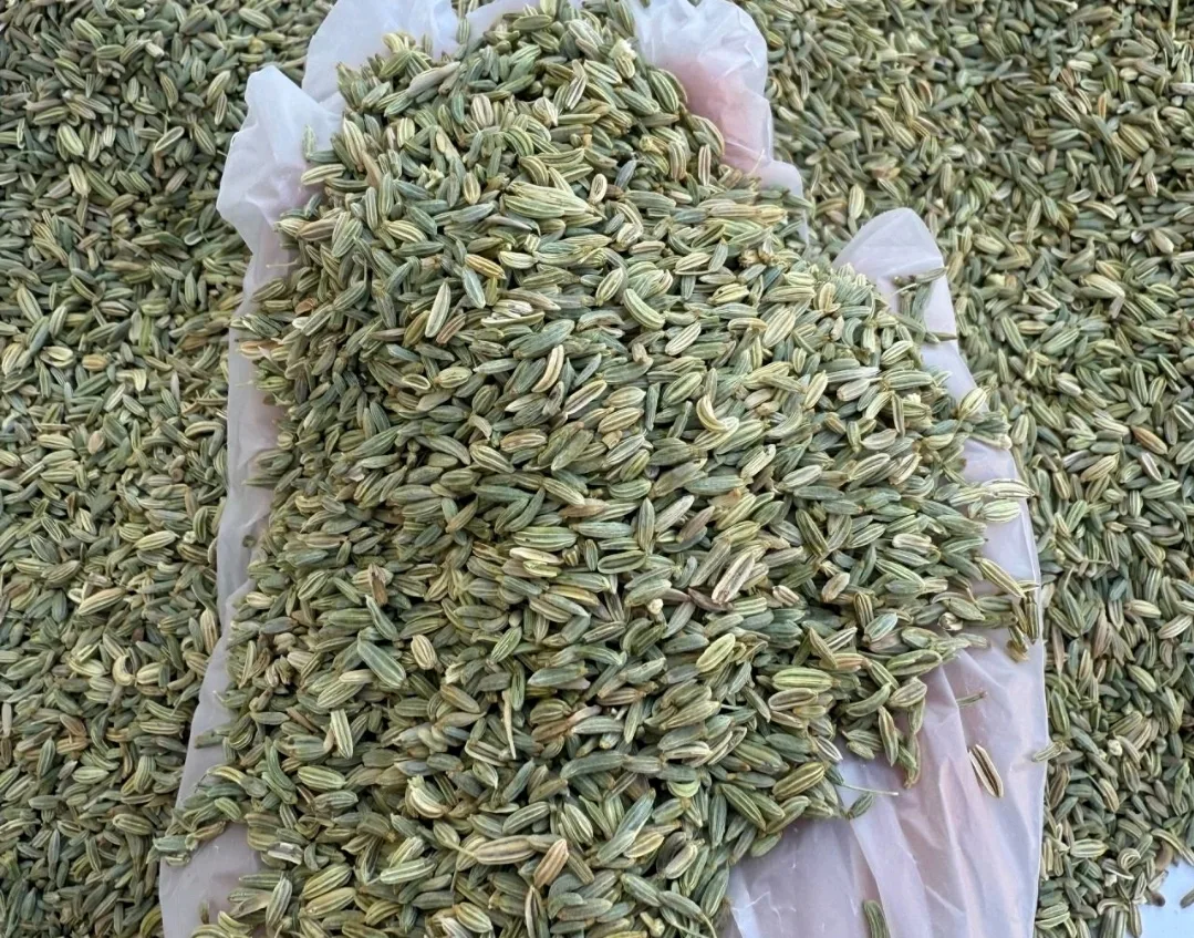 Fennel Seeds