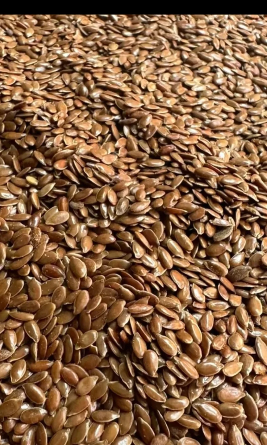 Egyptian Flaxseeds