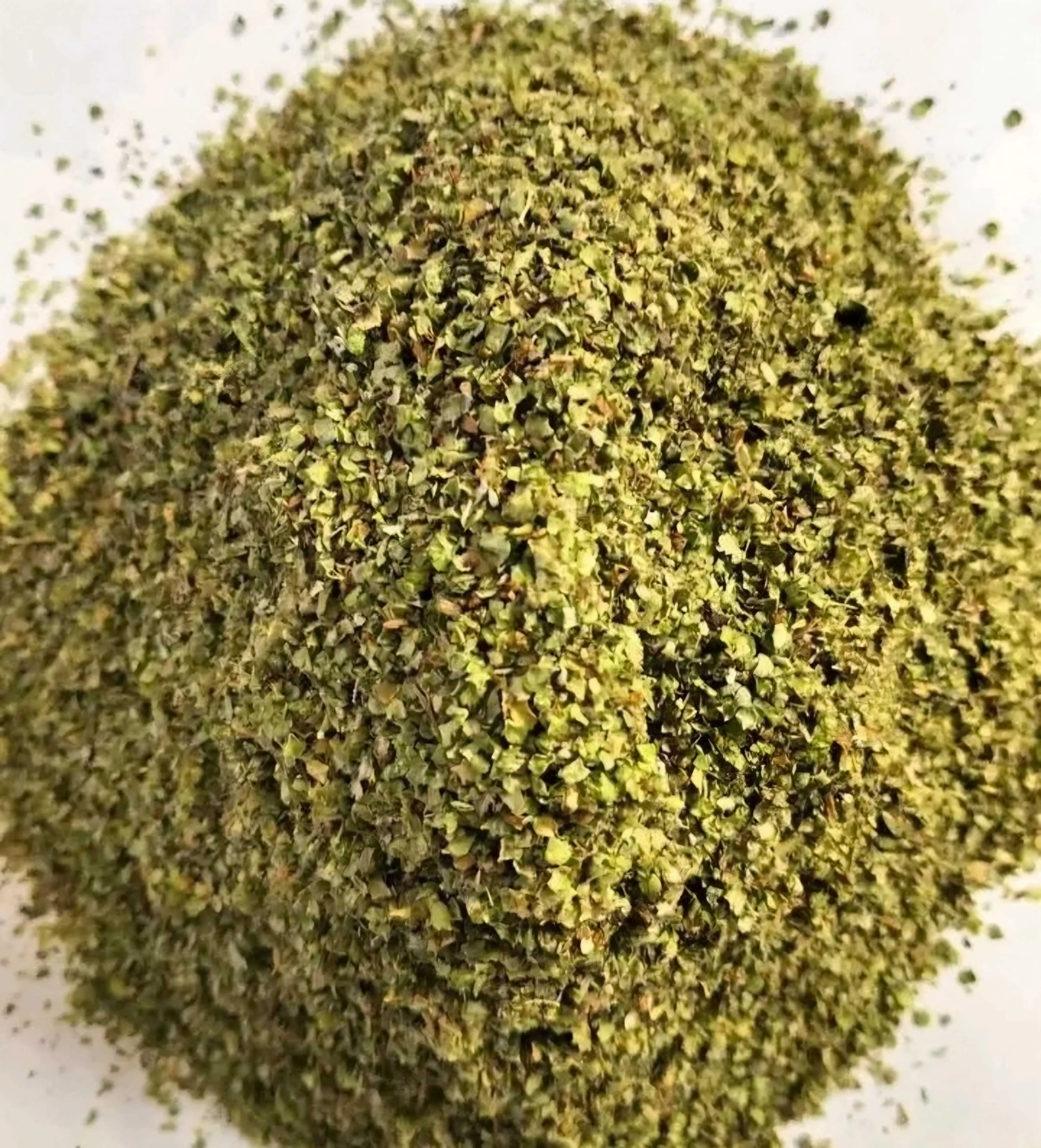 Egyptian Marjoram - Premium Dried Herb for Food Industry