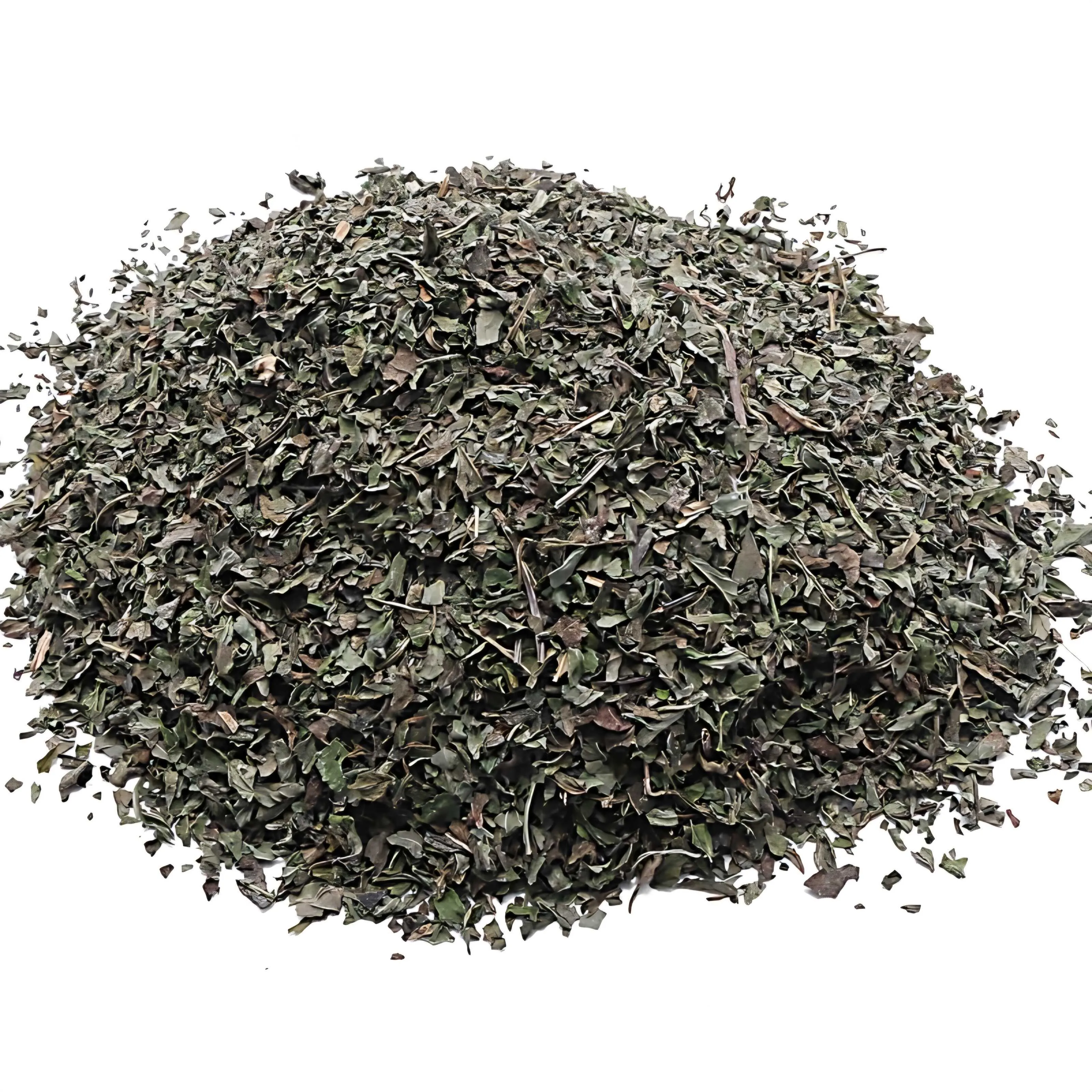 Egyptian Peppermint - High Menthol Content for Tea and Pharma