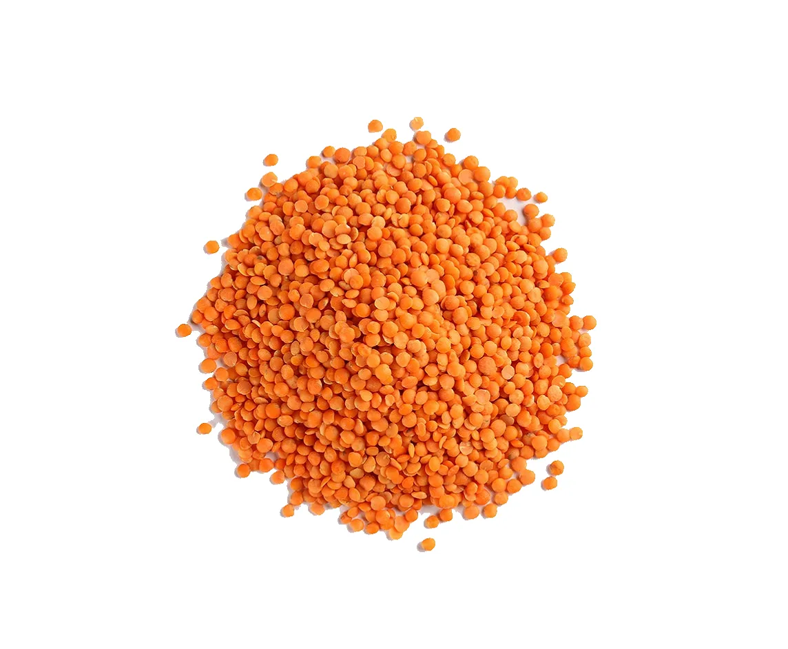 Egyptian Green Lentils