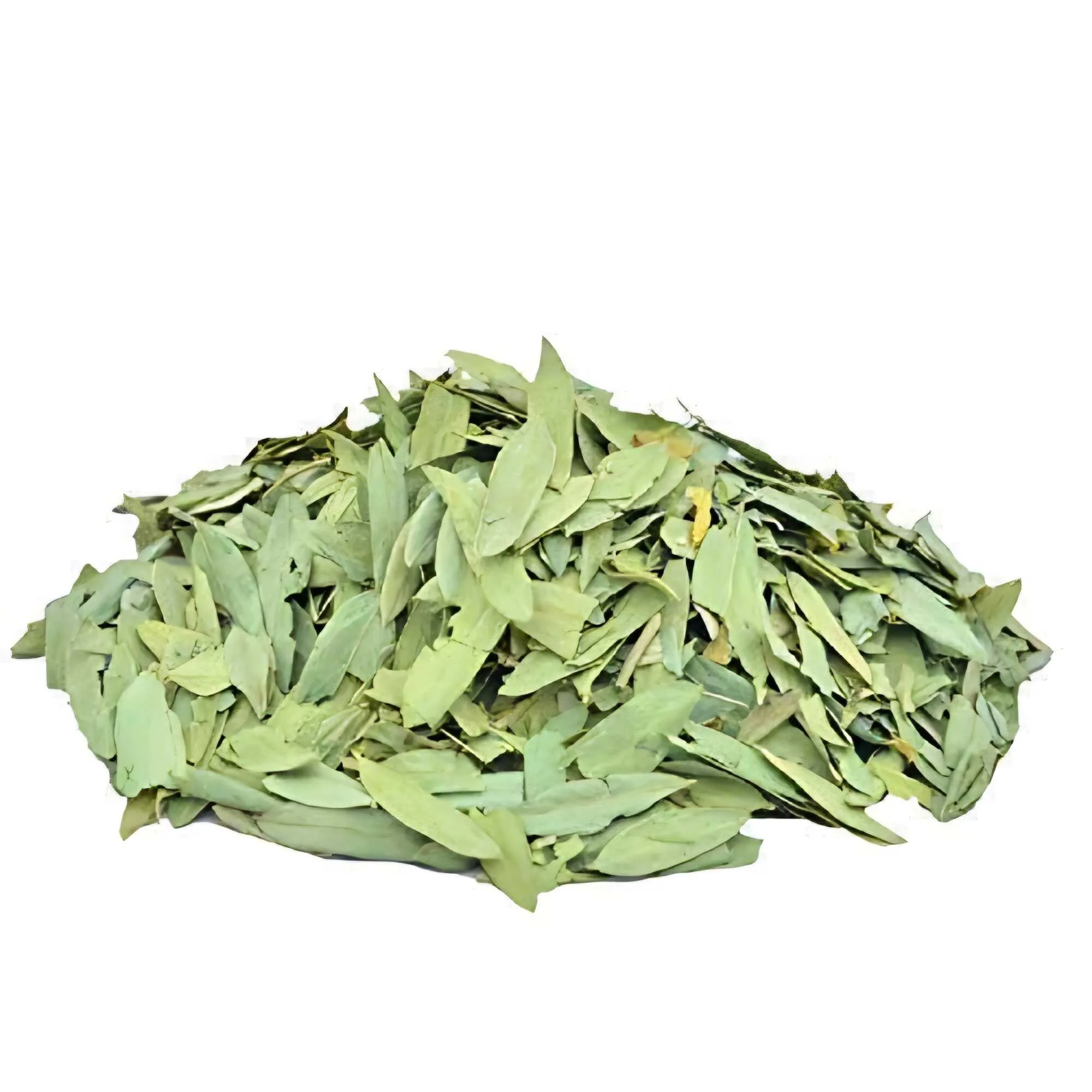 Egyptian Senna Pods