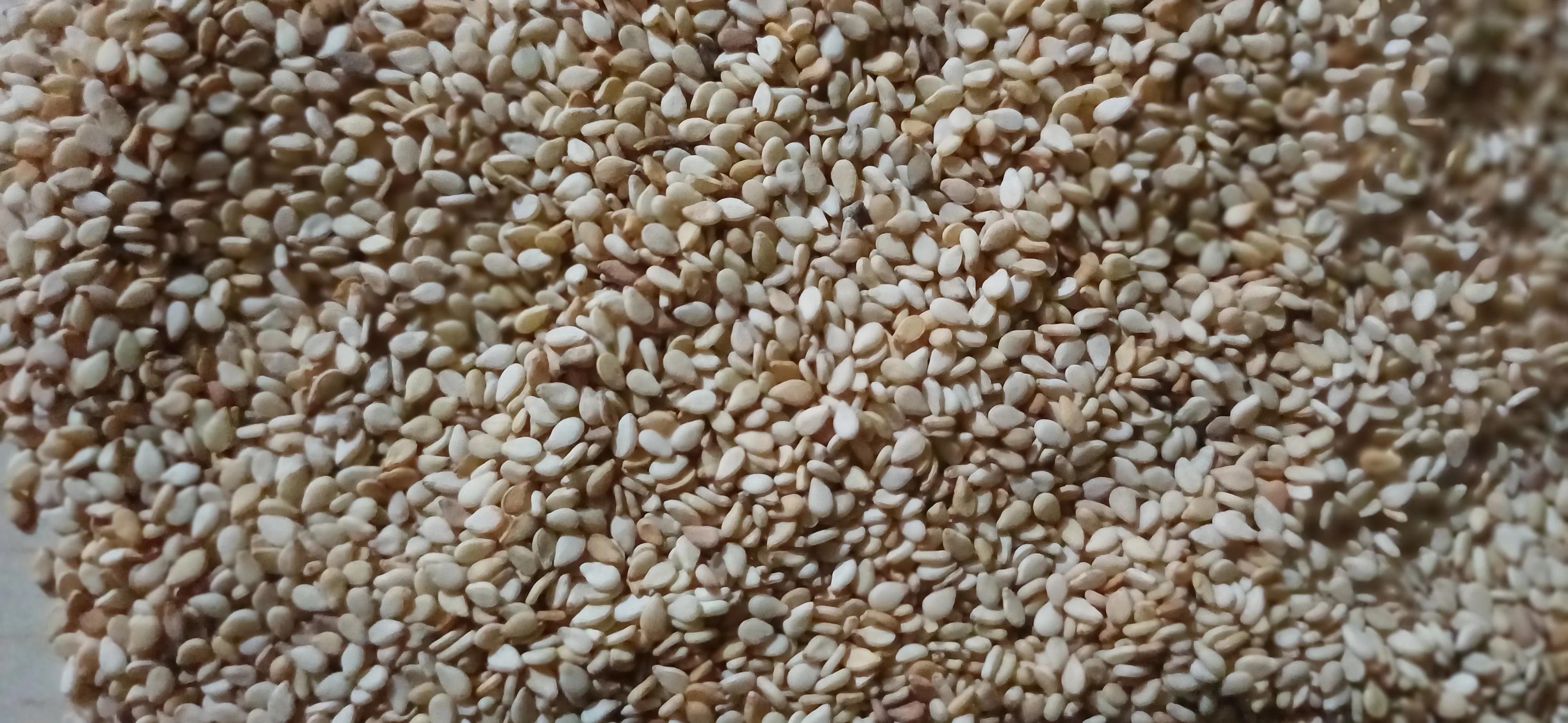 Egyptian Natural Sesame Seeds