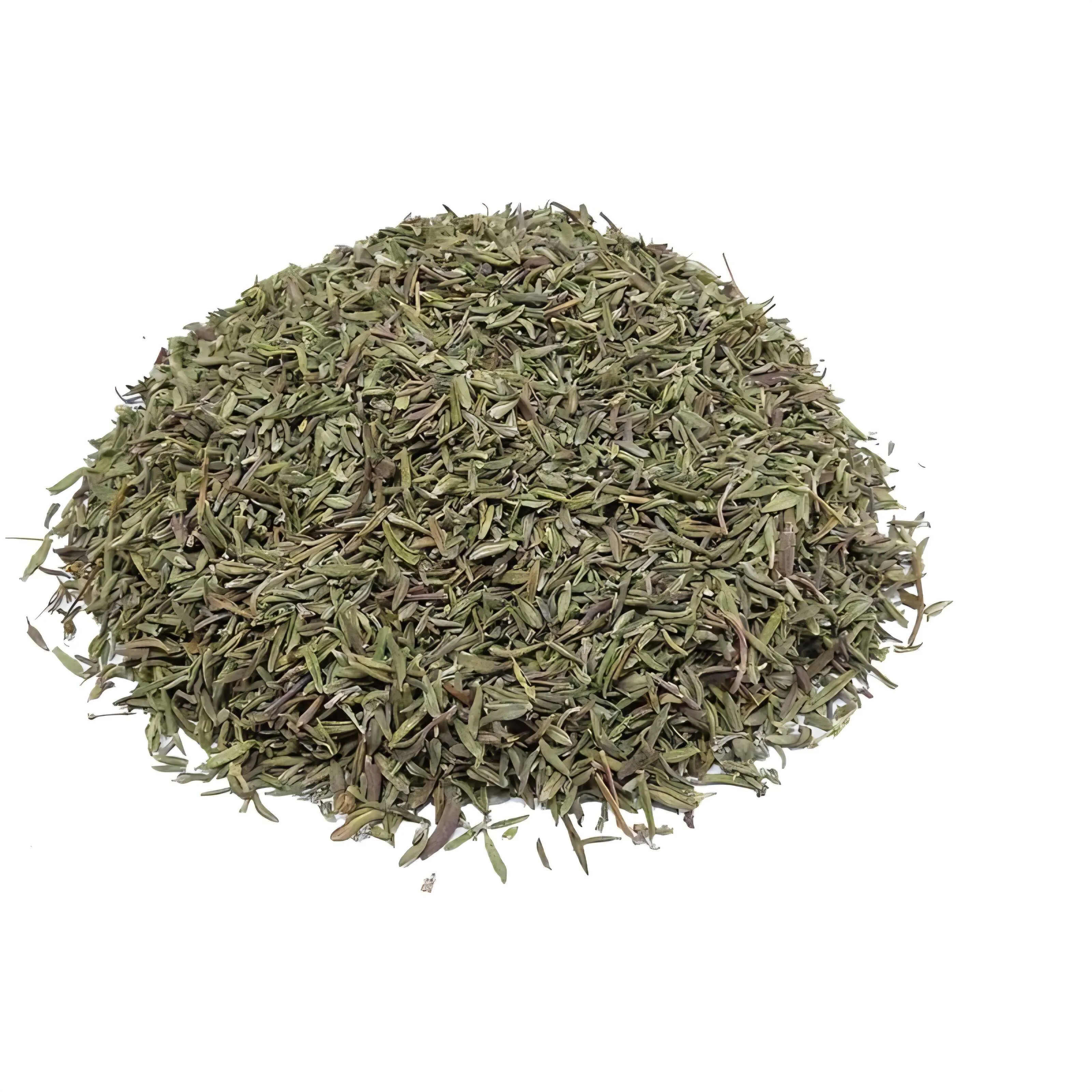 Egyptian Thyme