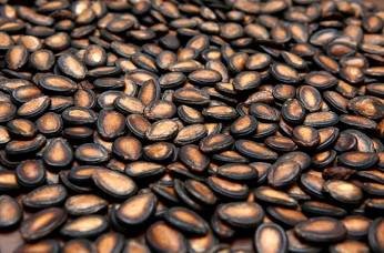 Egyptian Watermelon Seeds