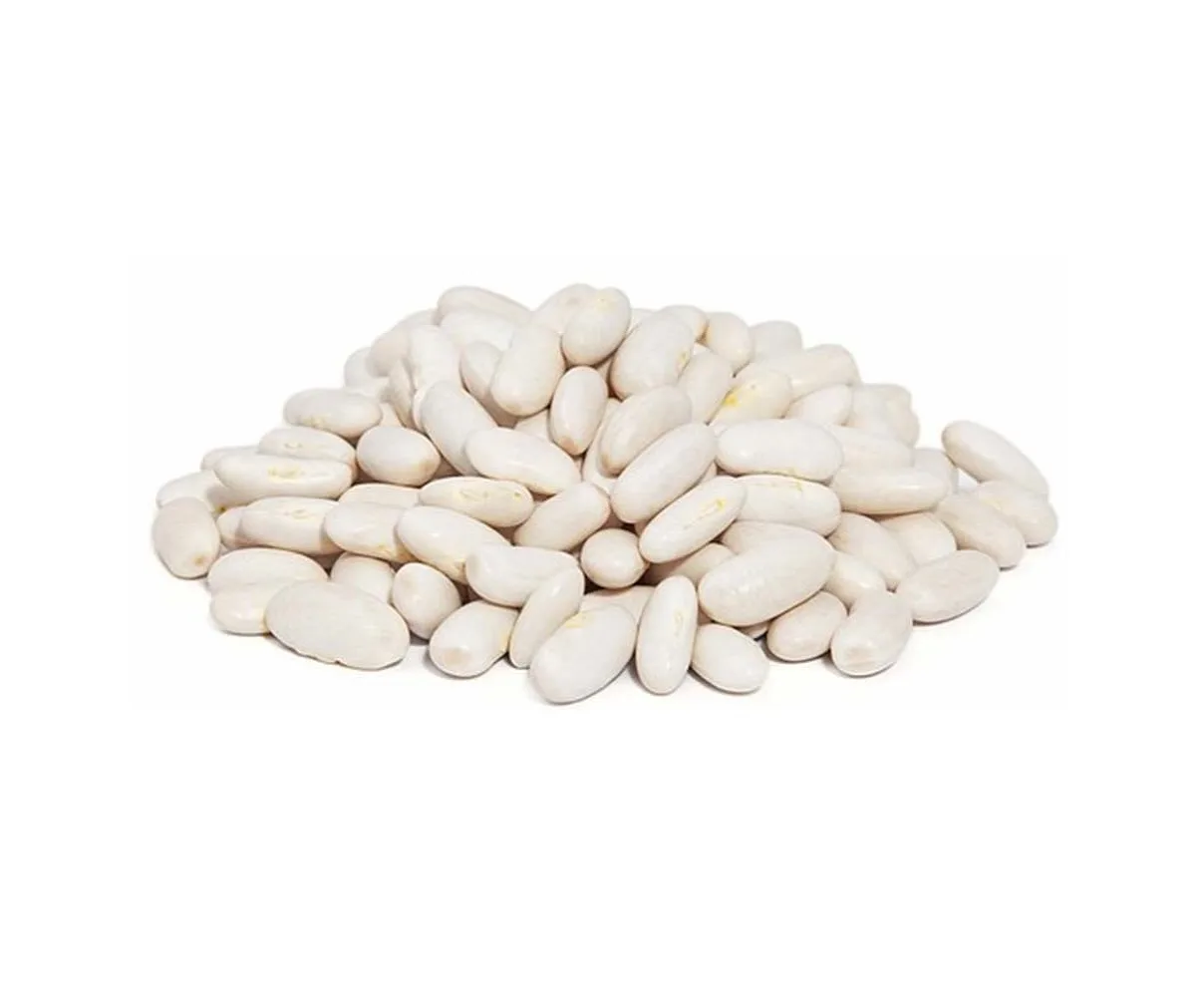 Egyptian White Kidney Beans